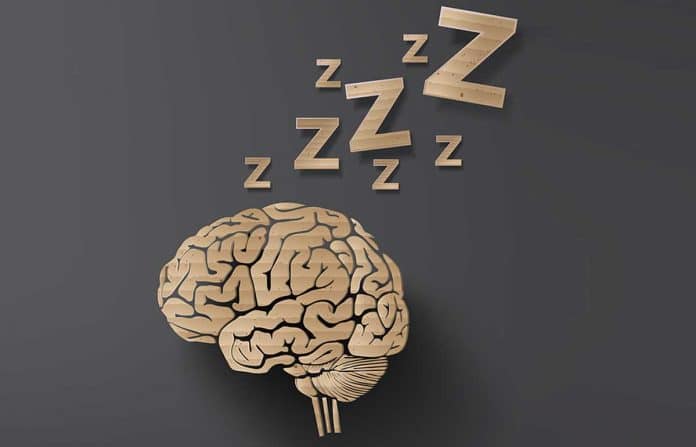 A relação entre sono e aprendizagem: em busca da memória perfeita
